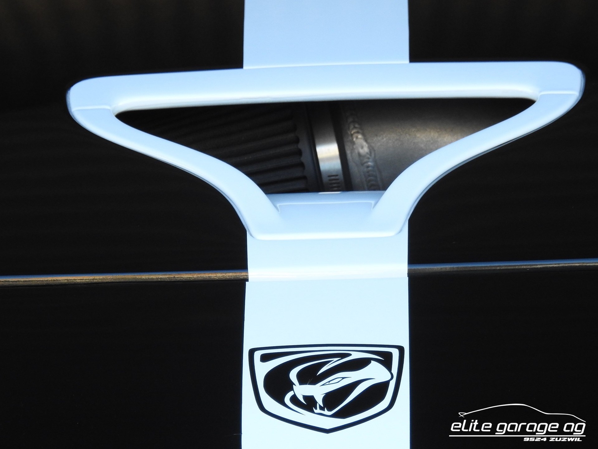 DODGE VIPER RT/10-image-6