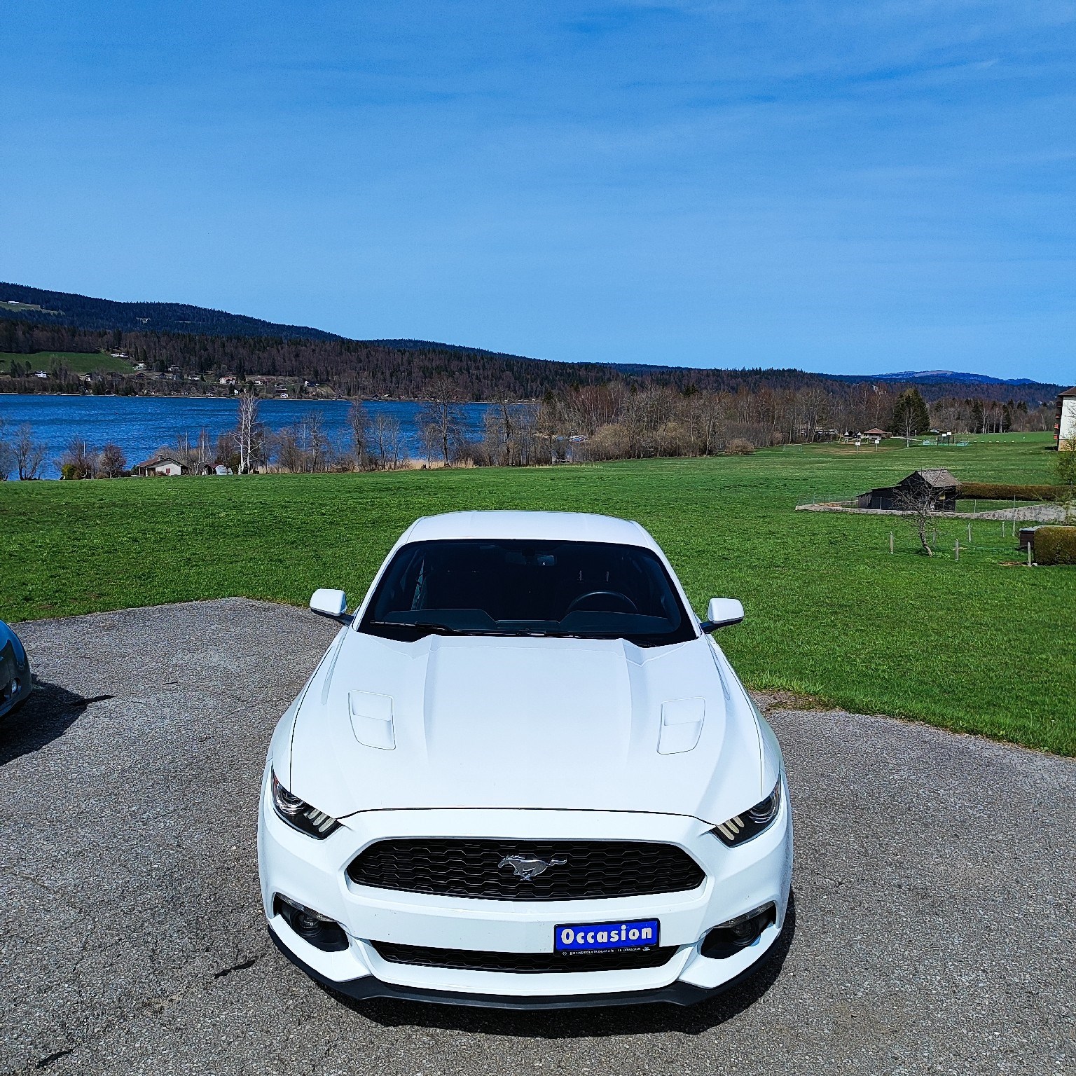FORD Mustang Fastback 5.0 V8 GT-image-2