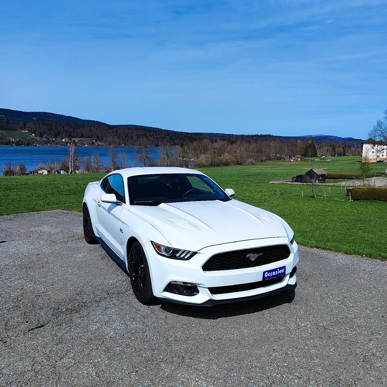 FORD Mustang Fastback 5.0 V8 GT-image-0