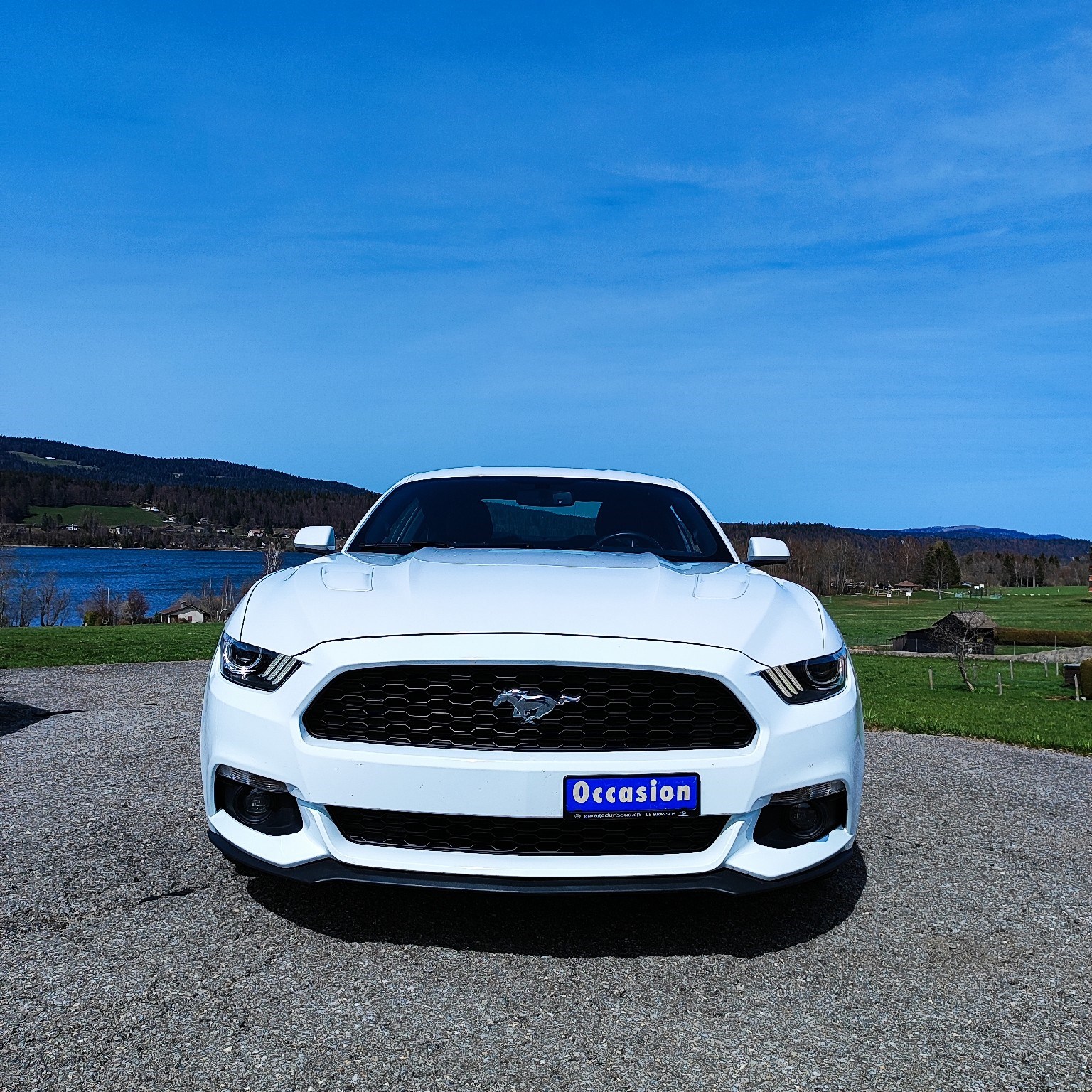FORD Mustang Fastback 5.0 V8 GT-image-1