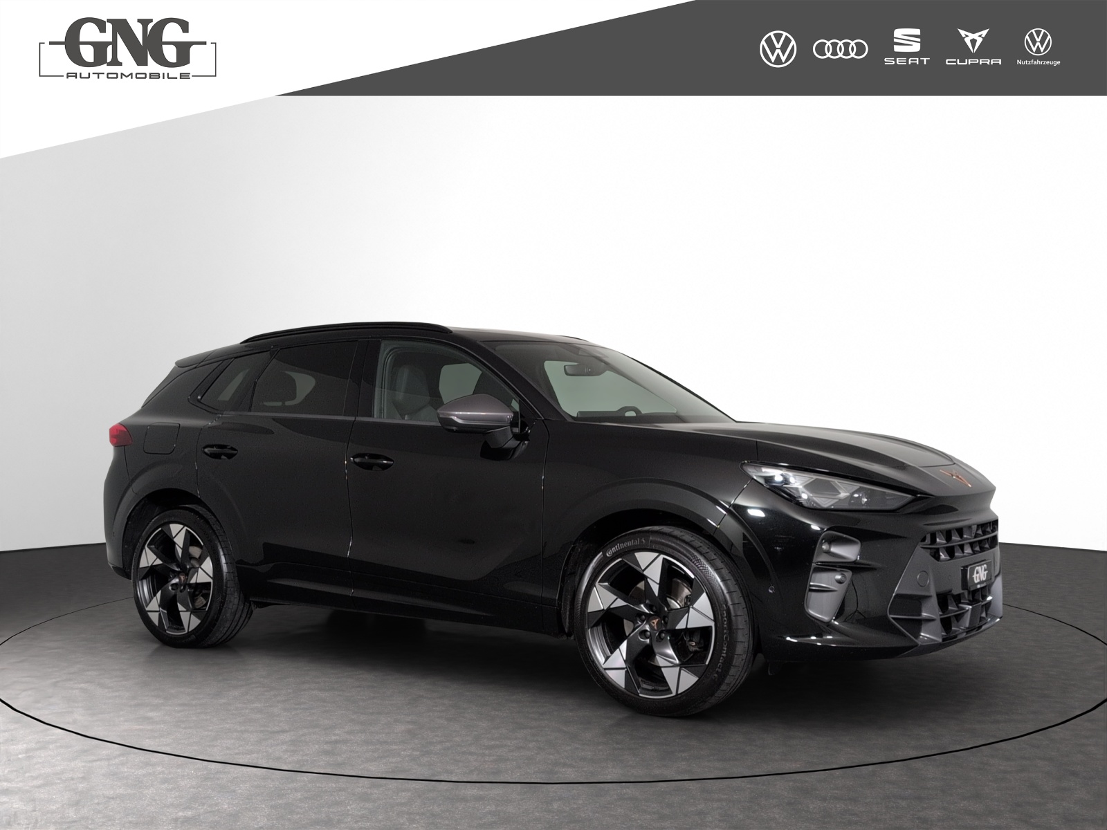CUPRA Terramar 2.0 TSI DSG 4Drive VZ-image-3