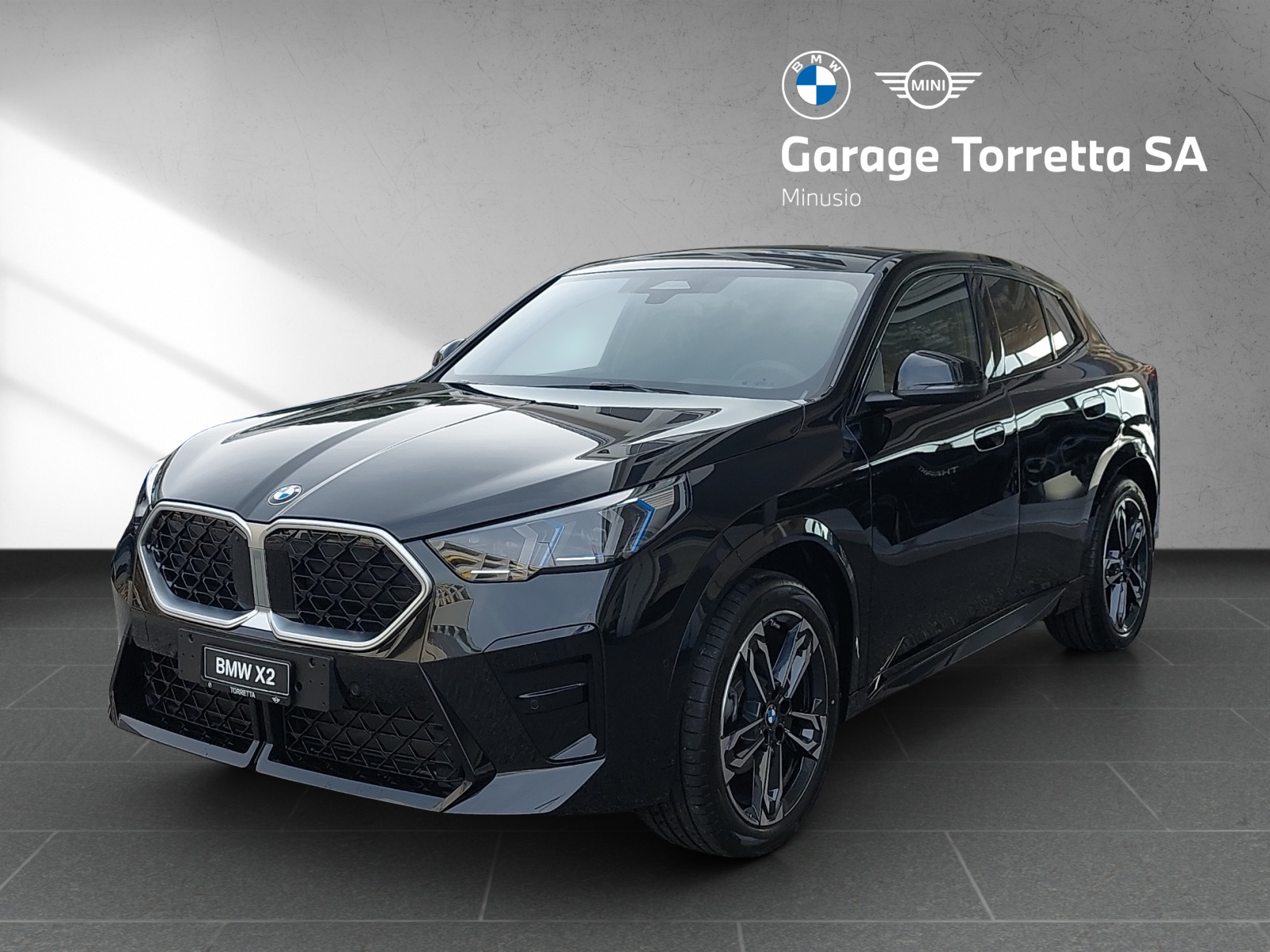 BMW X2 xDrive 20d 48V M Sport-image-0
