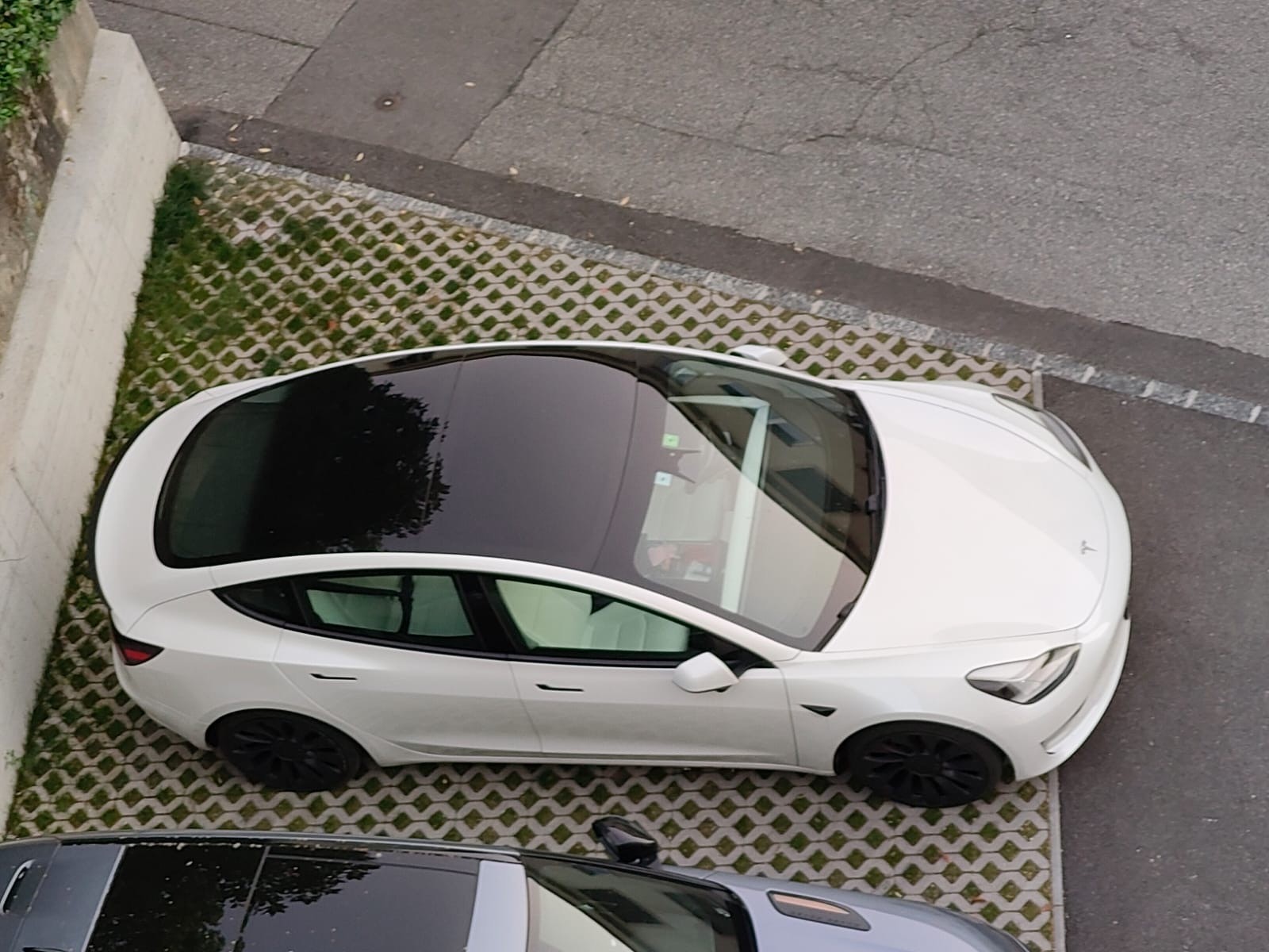 TESLA Model 3 Performance Dual Motor AWD-image-3