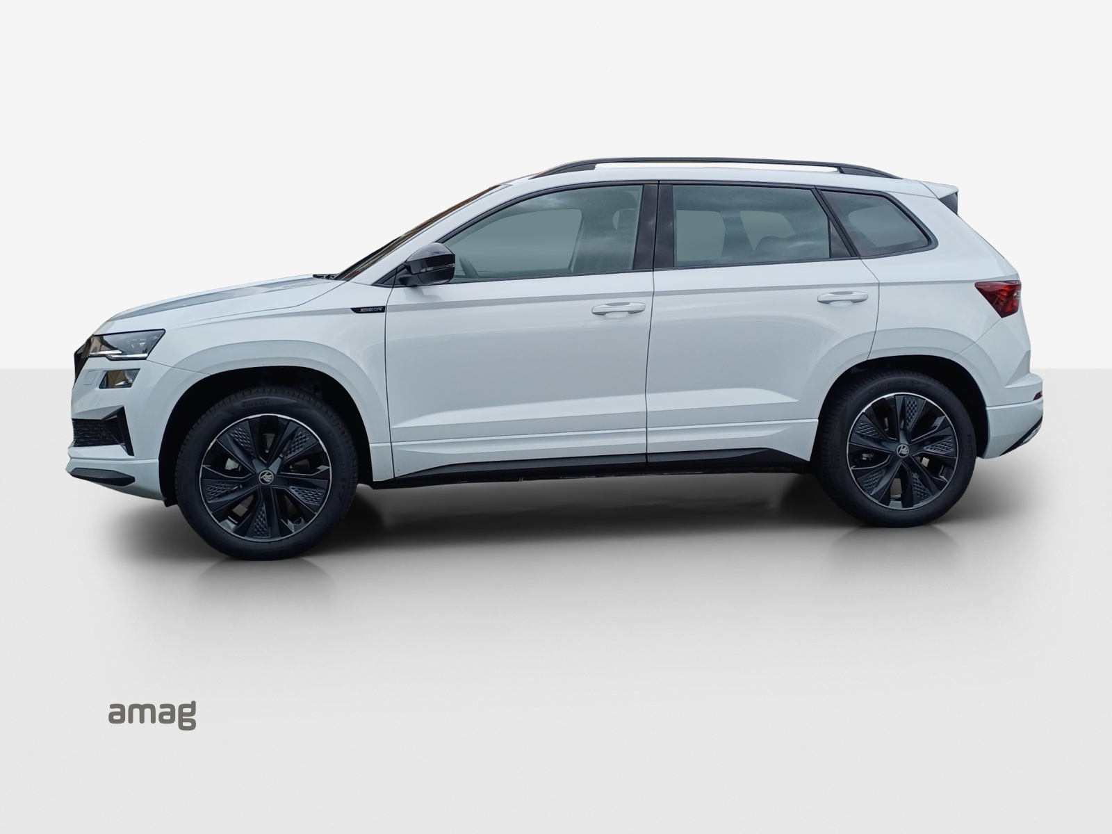 SKODA Karoq 2.0 TSI Dynamic Limited Edition 4x4 DSG-image-1