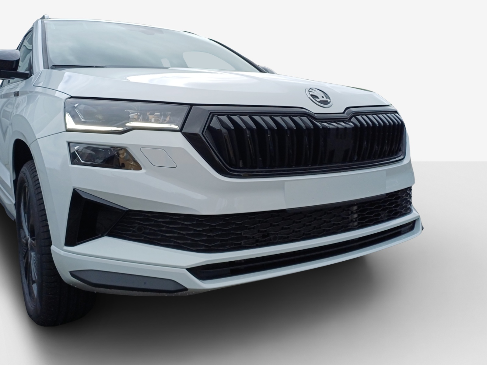 SKODA Karoq 2.0 TSI Dynamic Limited Edition 4x4 DSG-image-14