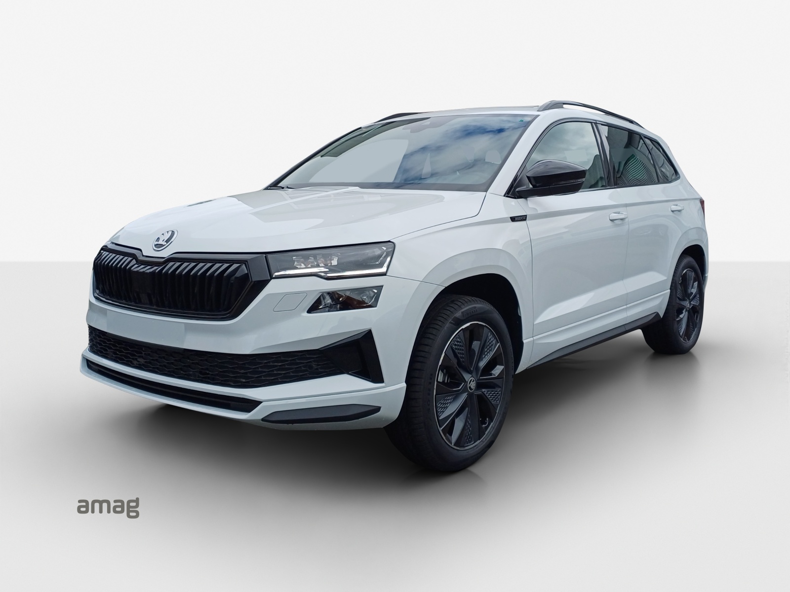 SKODA Karoq 2.0 TSI Dynamic Limited Edition 4x4 DSG-image-0