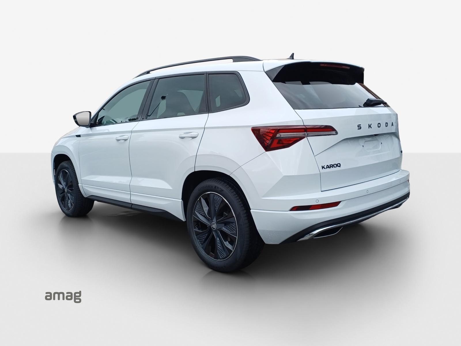 SKODA Karoq 2.0 TSI Dynamic Limited Edition 4x4 DSG-image-2