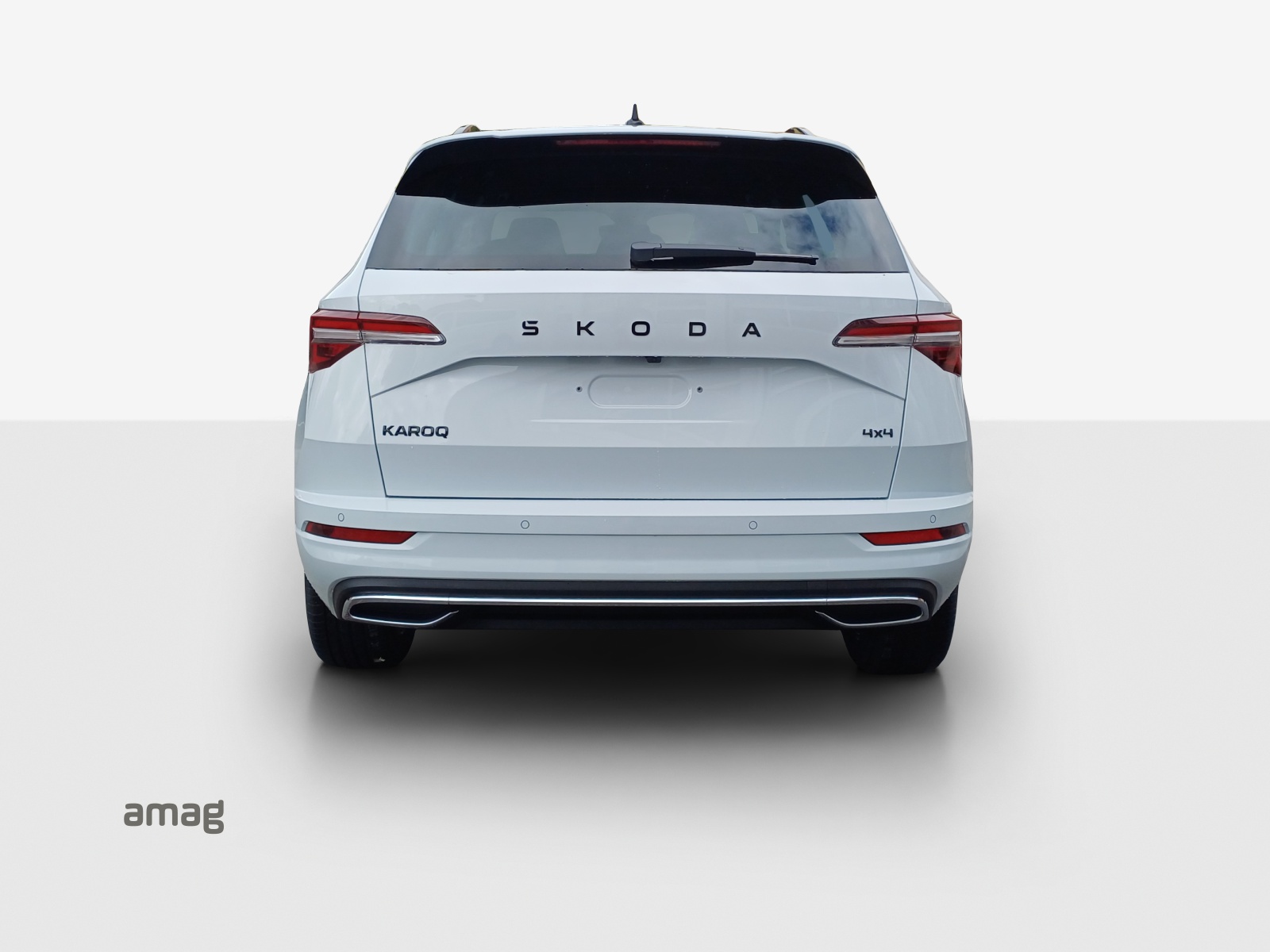 SKODA Karoq 2.0 TSI Dynamic Limited Edition 4x4 DSG-image-3