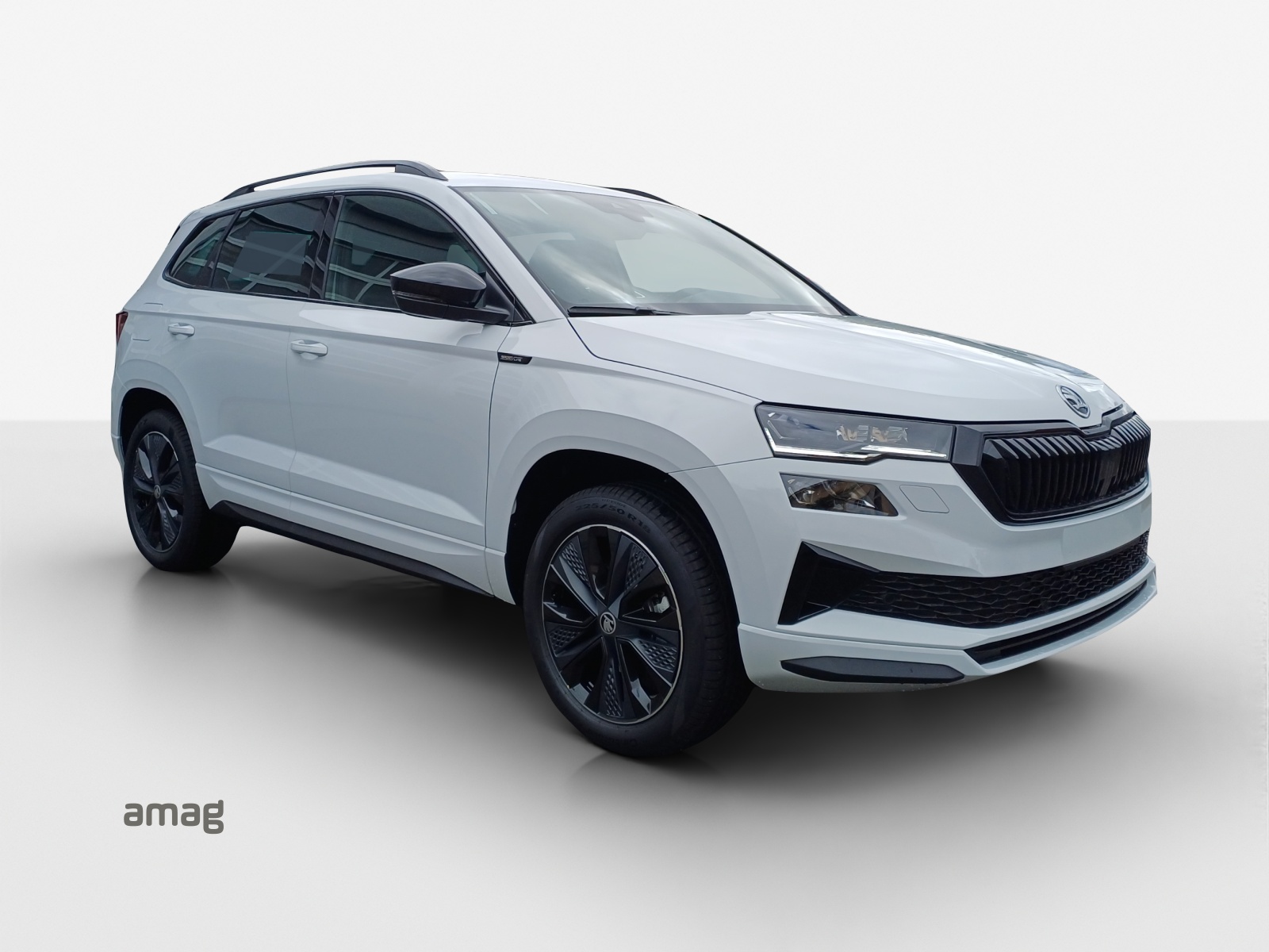 SKODA Karoq 2.0 TSI Dynamic Limited Edition 4x4 DSG-image-5
