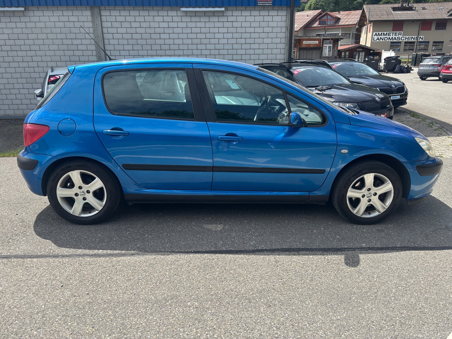 PEUGEOT 307 2.0 16V XS-image-4