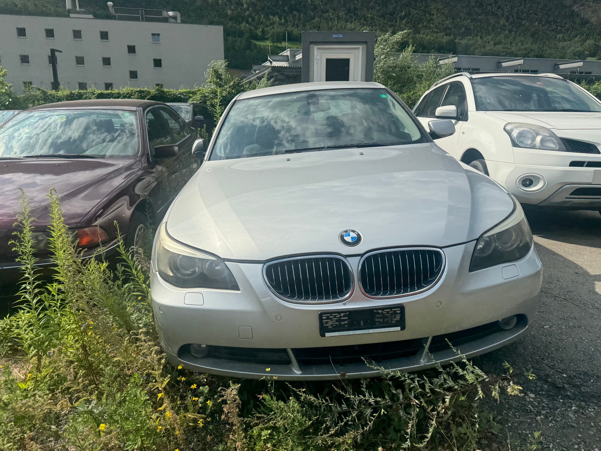 BMW 523i Touring Business-image-4