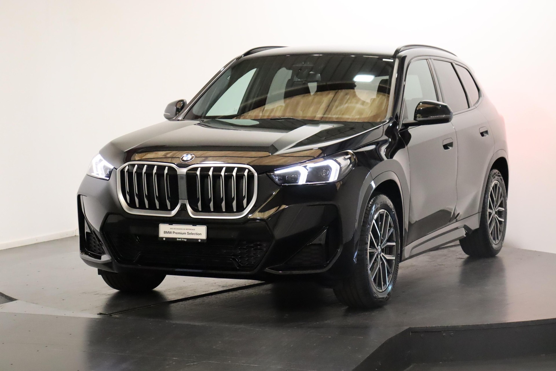 BMW X1 20d xDrive paddles