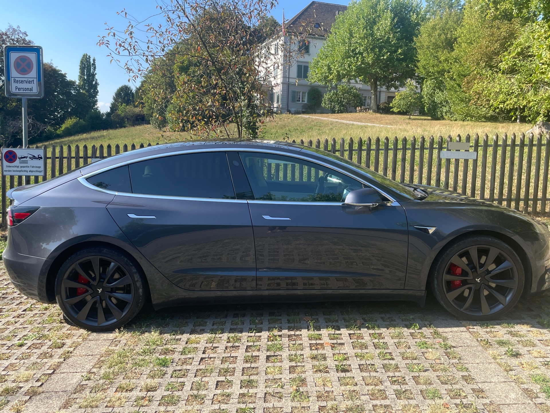 TESLA Performance D