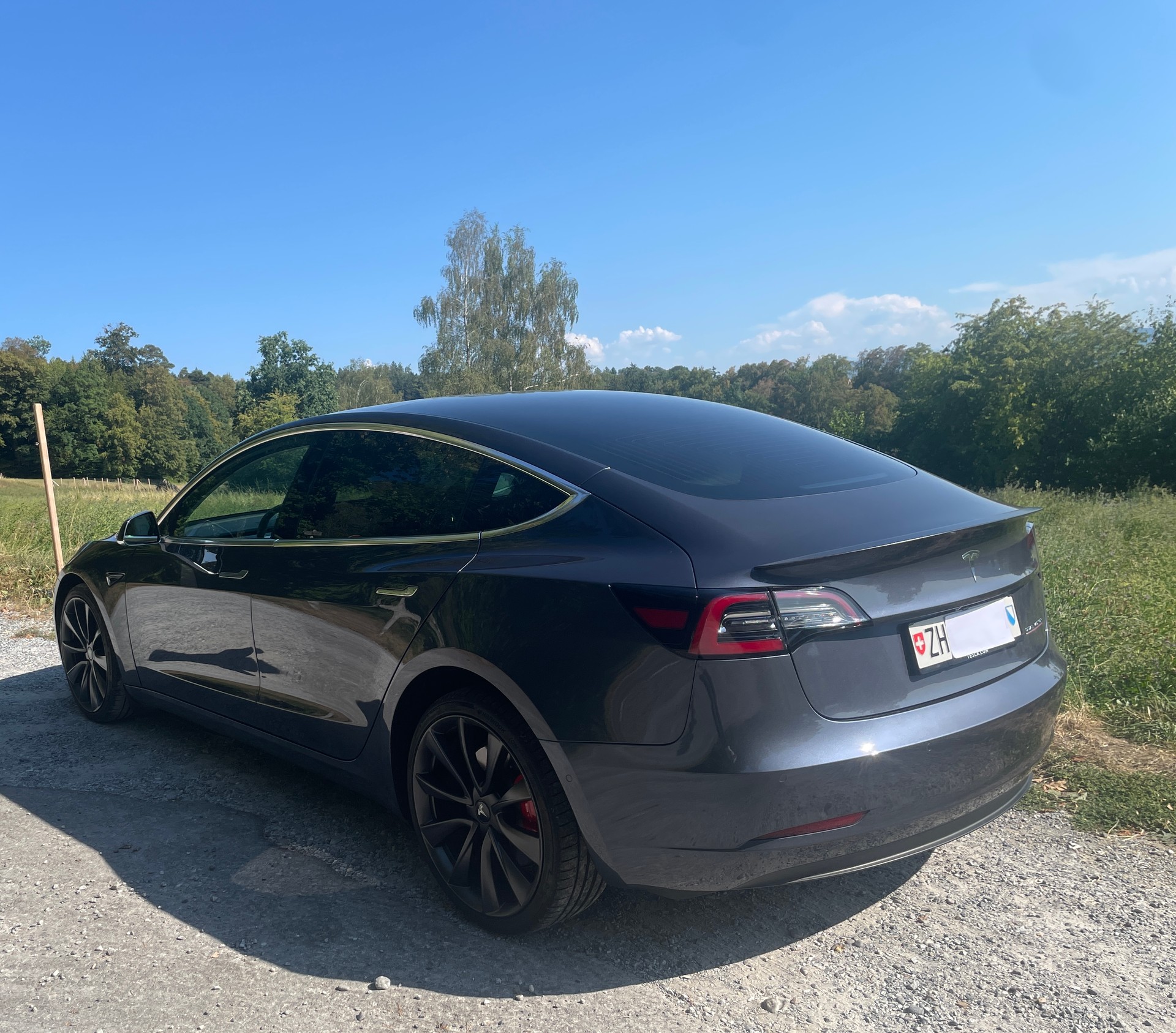 TESLA Performance D-image-1