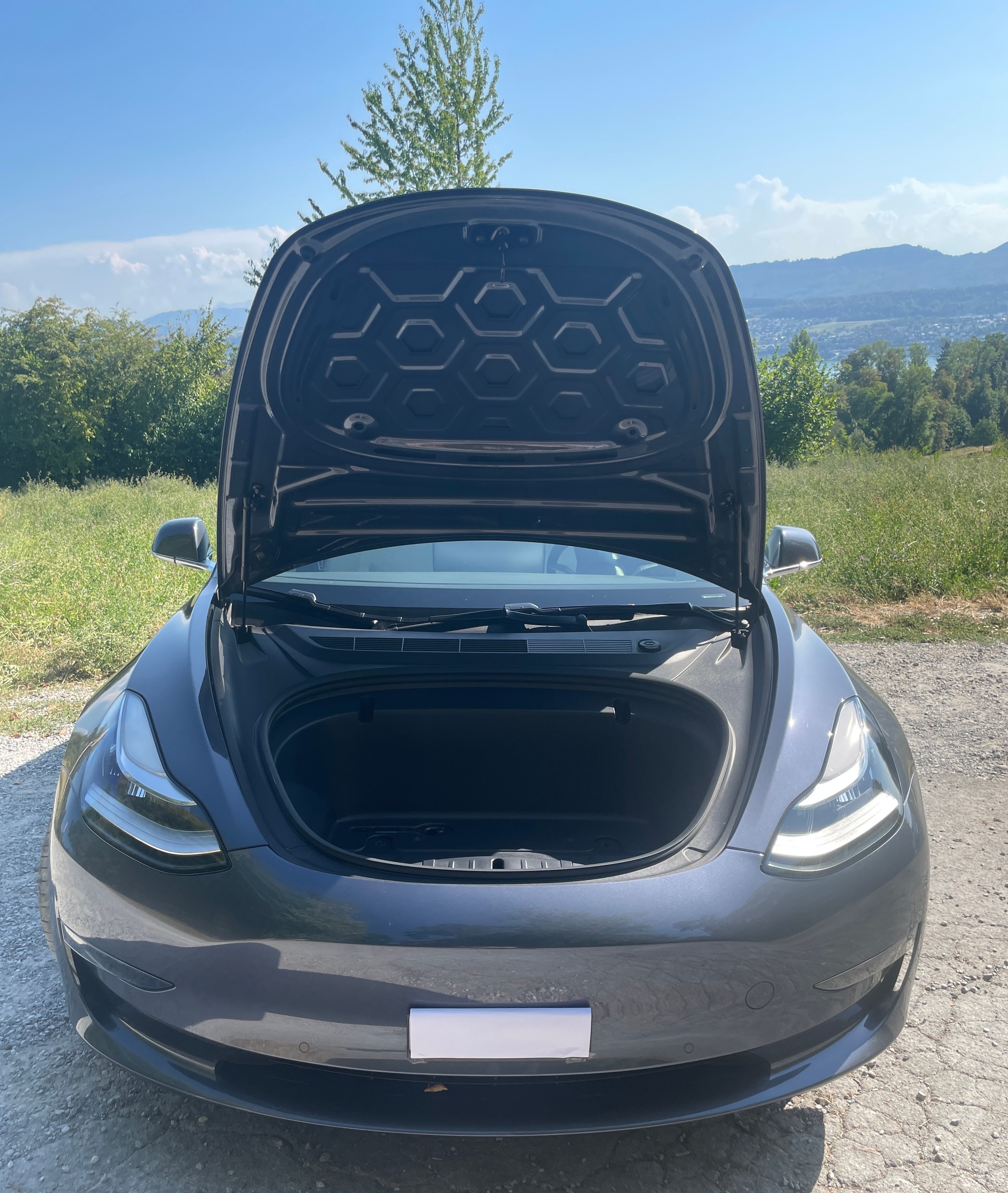 TESLA Performance D-image-5