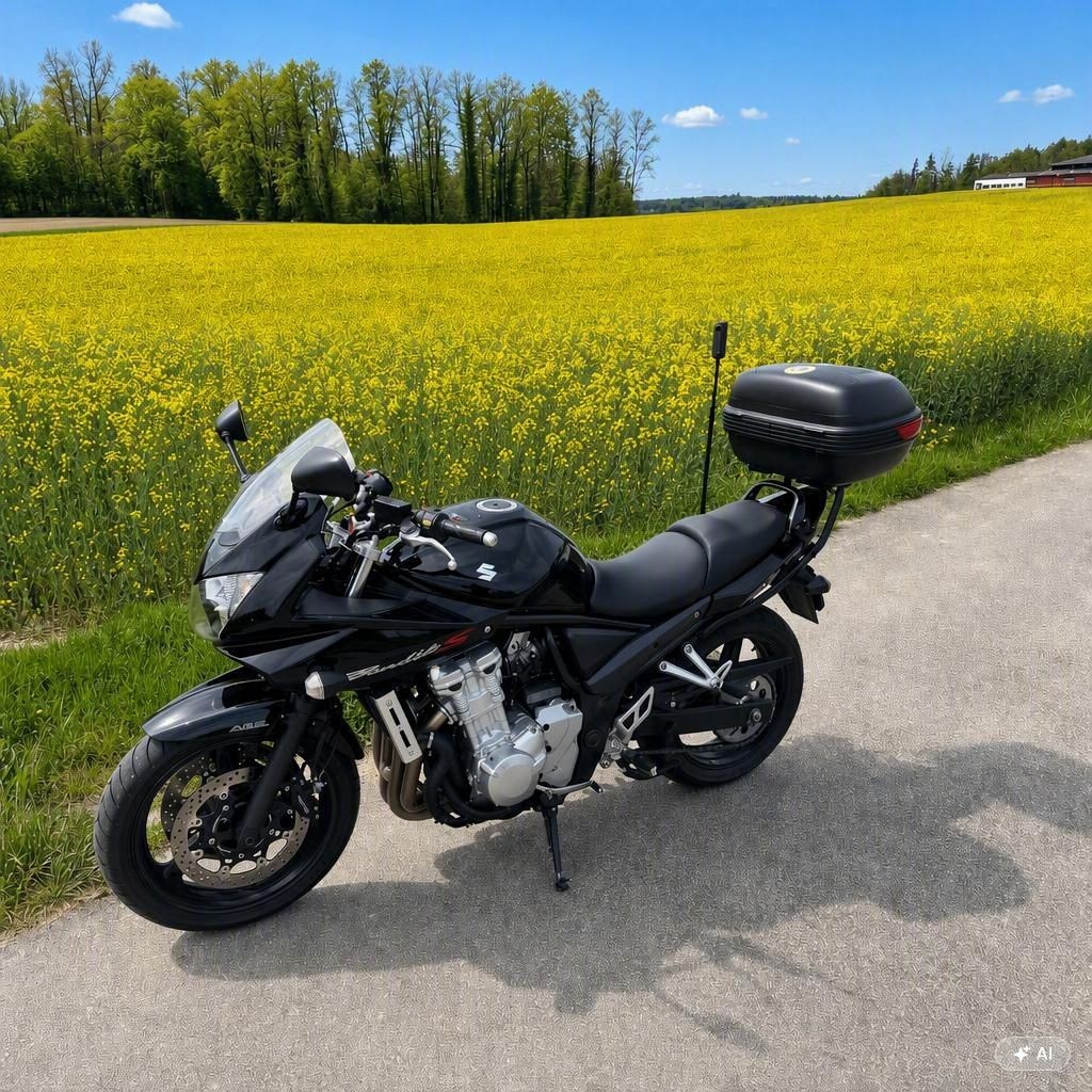 SUZUKI GSF 650