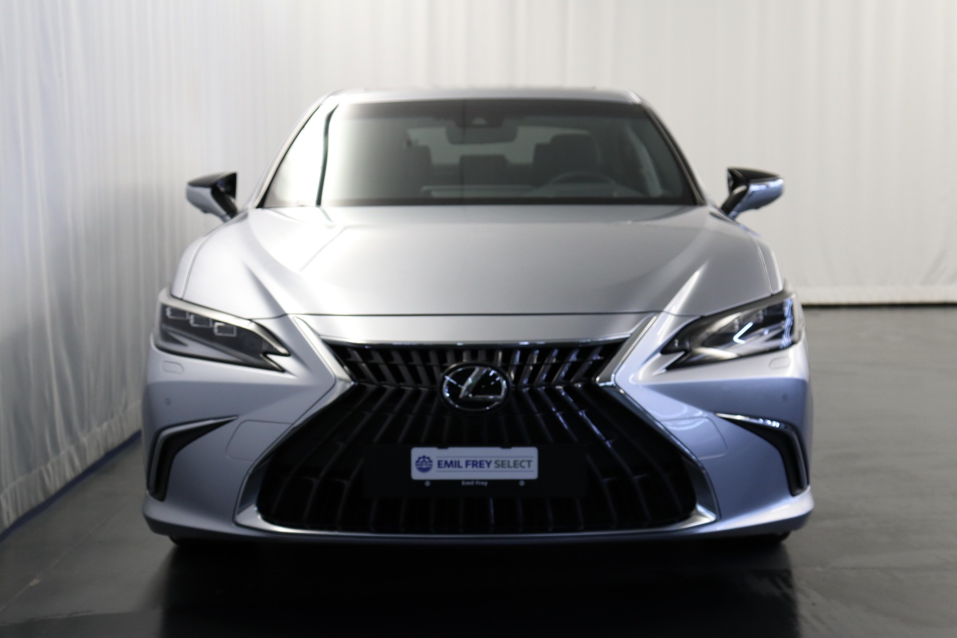 LEXUS ES 300h Excellence-image-10
