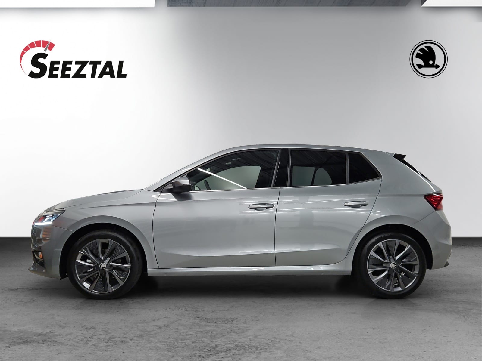 SKODA Skoda Fabia TSI Dynamic-image-0