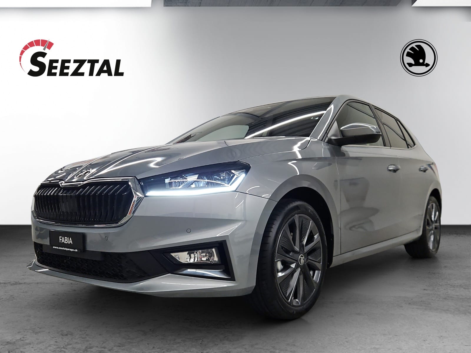 SKODA Skoda Fabia TSI Dynamic-image-1