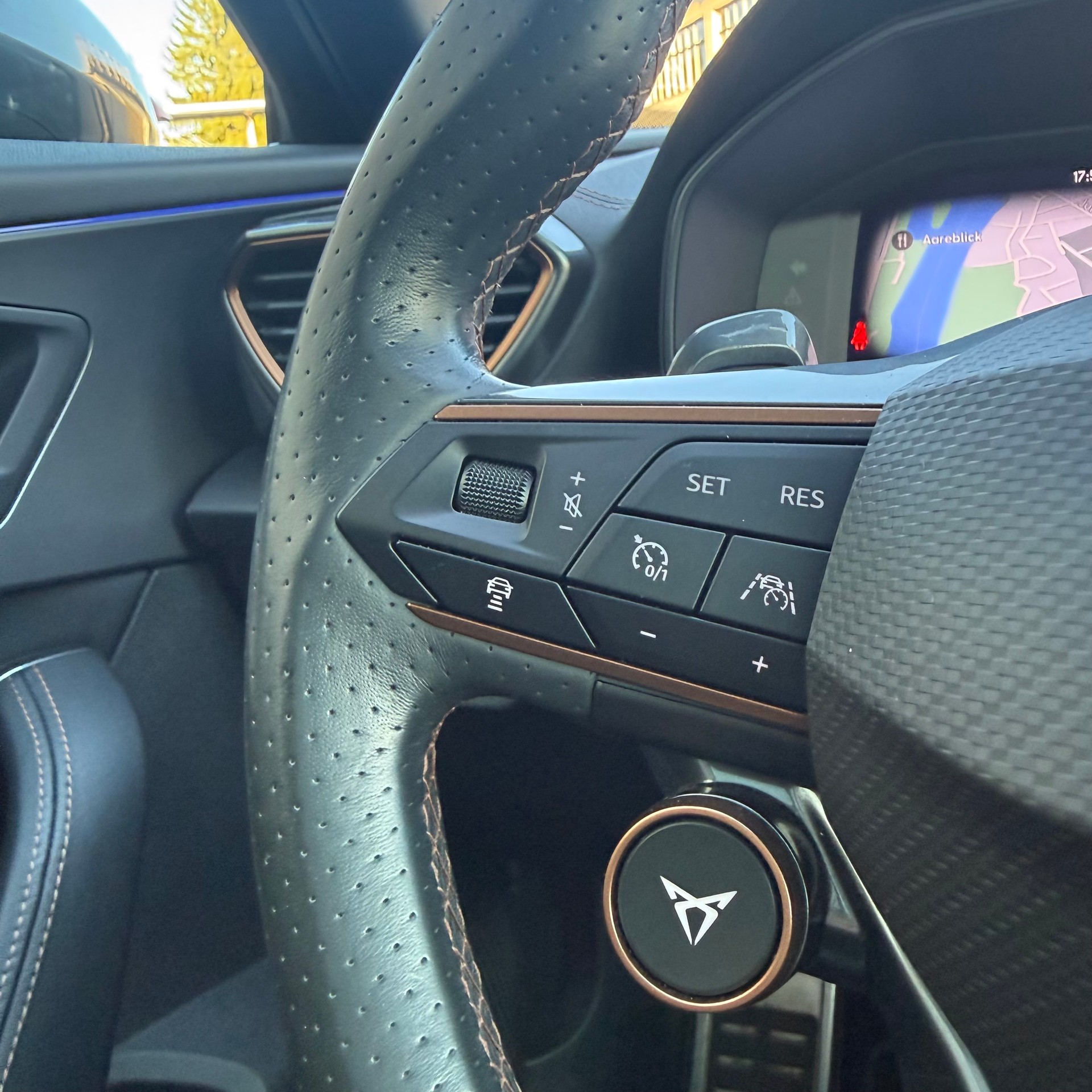 CUPRA Formentor 2.0TSI VZ 4Drive DSG Swiss-image-12