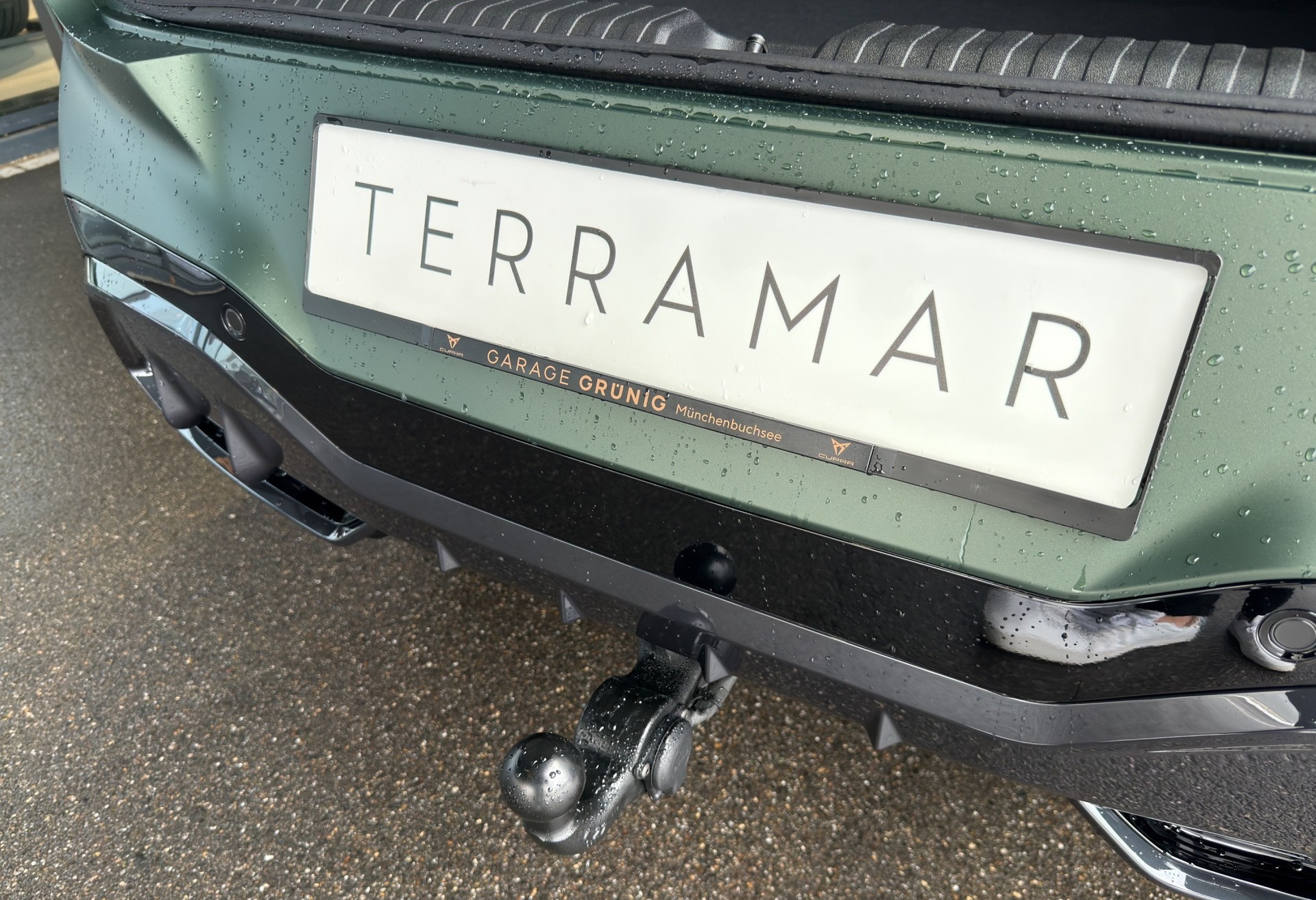 CUPRA Terramar 2.0 TSI DSG Prime Edition VZ 4Drive-image-13