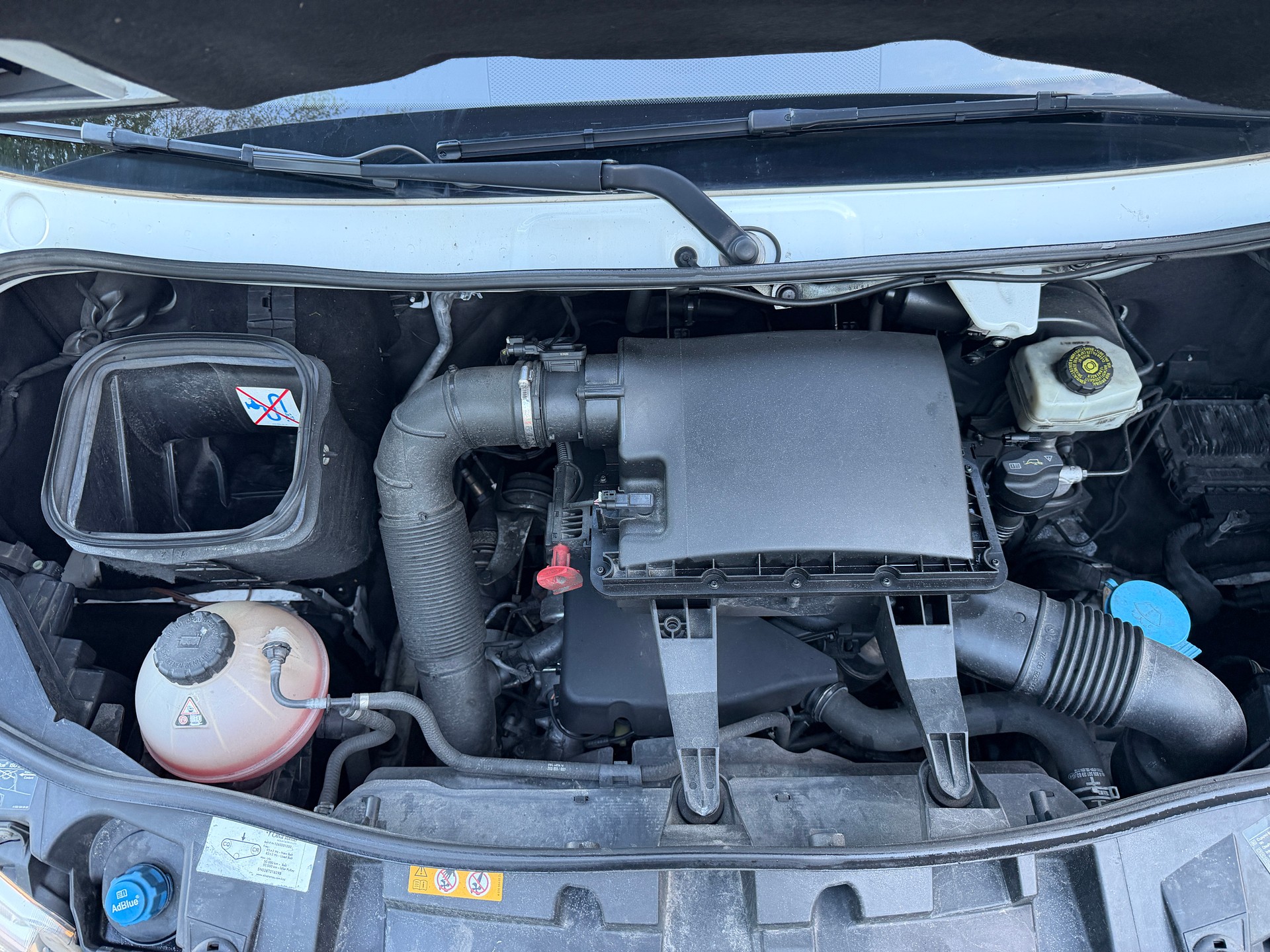MERCEDES-BENZ Sprinter 316 CDI extra lang Kühlkasten mit Aggregat-image-13