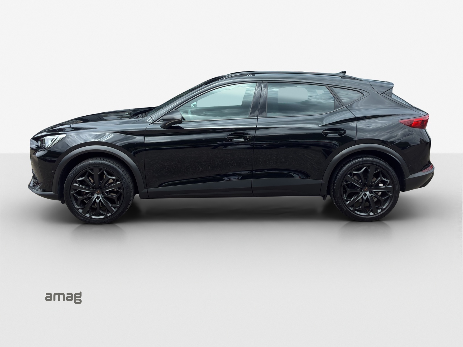 CUPRA Formentor 2.0TSI Tribe Edition DSG-image-1