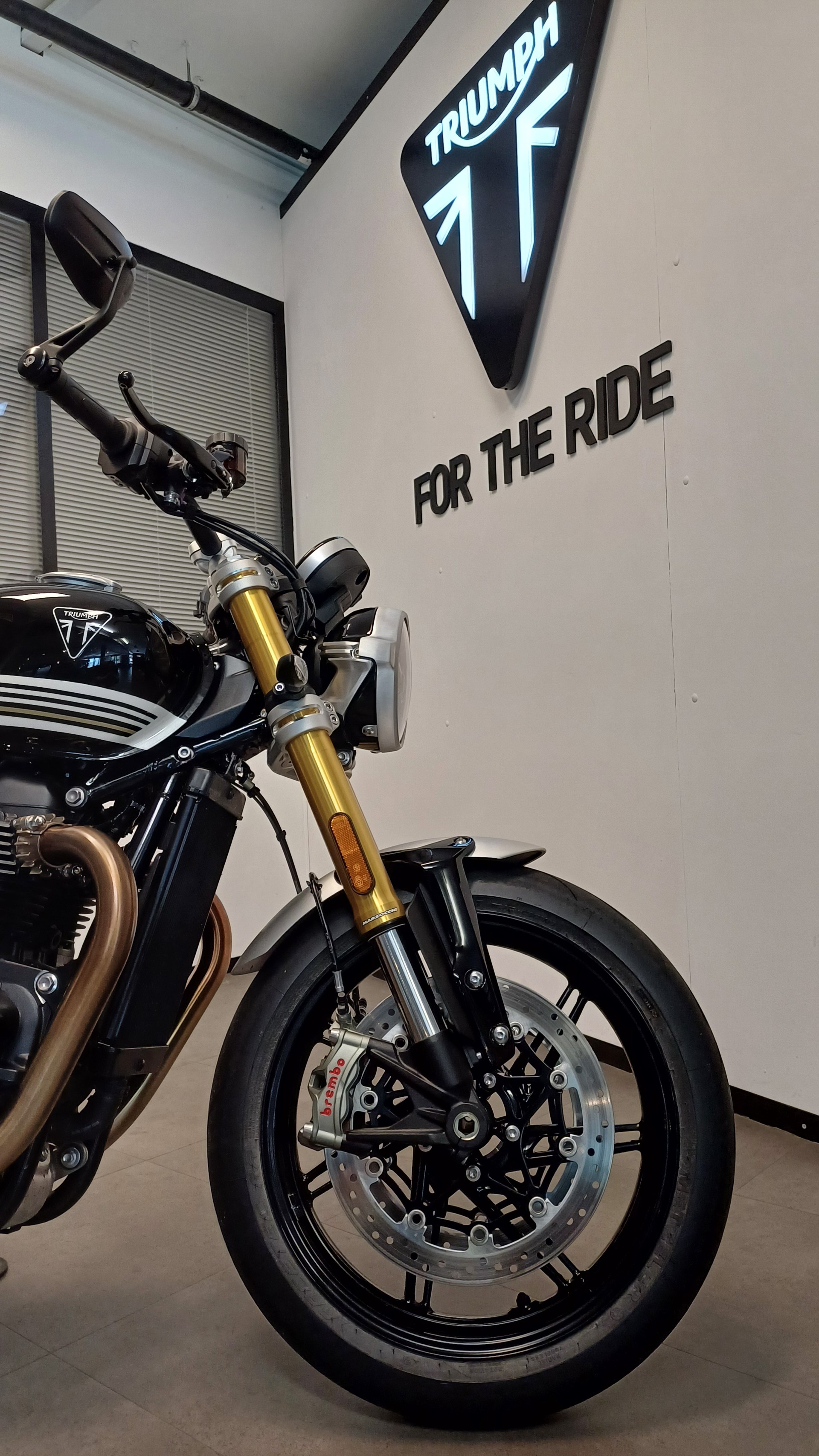 TRIUMPH Speed Twin 1200 RS-image-6