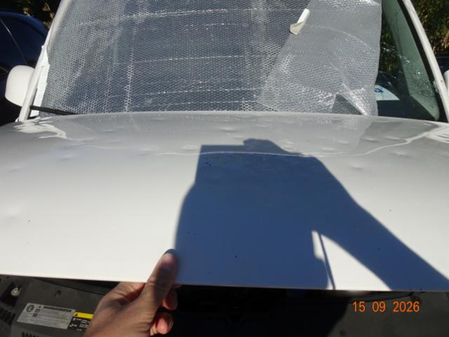 VW T6 2.0 TDI Entry-image-7