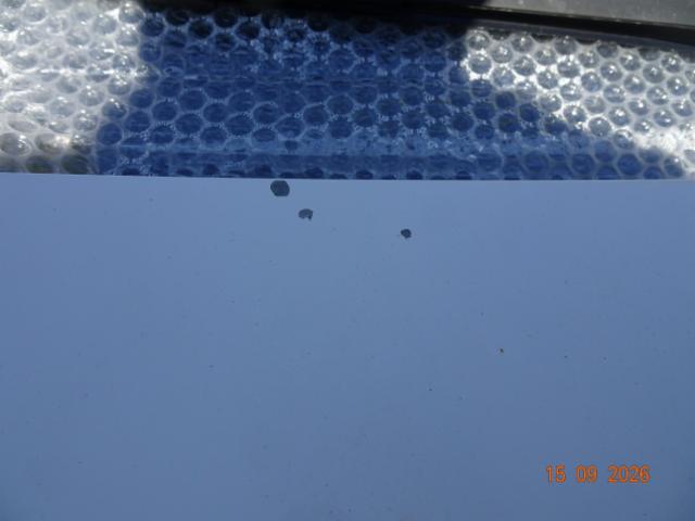 VW T6 2.0 TDI Entry-image-8