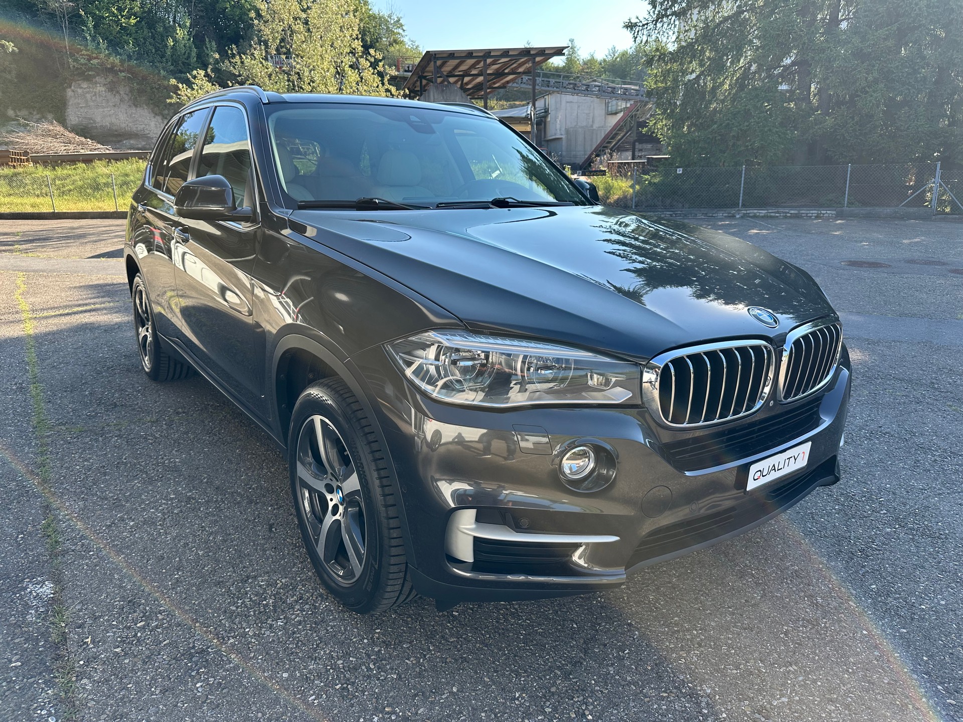 BMW X5 xDrive 25d Steptronic-image-2