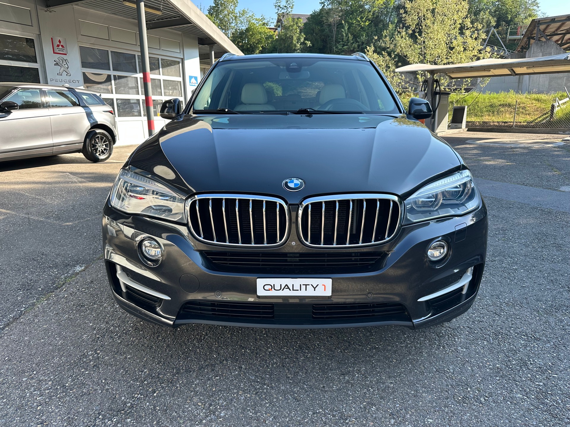 BMW X5 xDrive 25d Steptronic-image-1