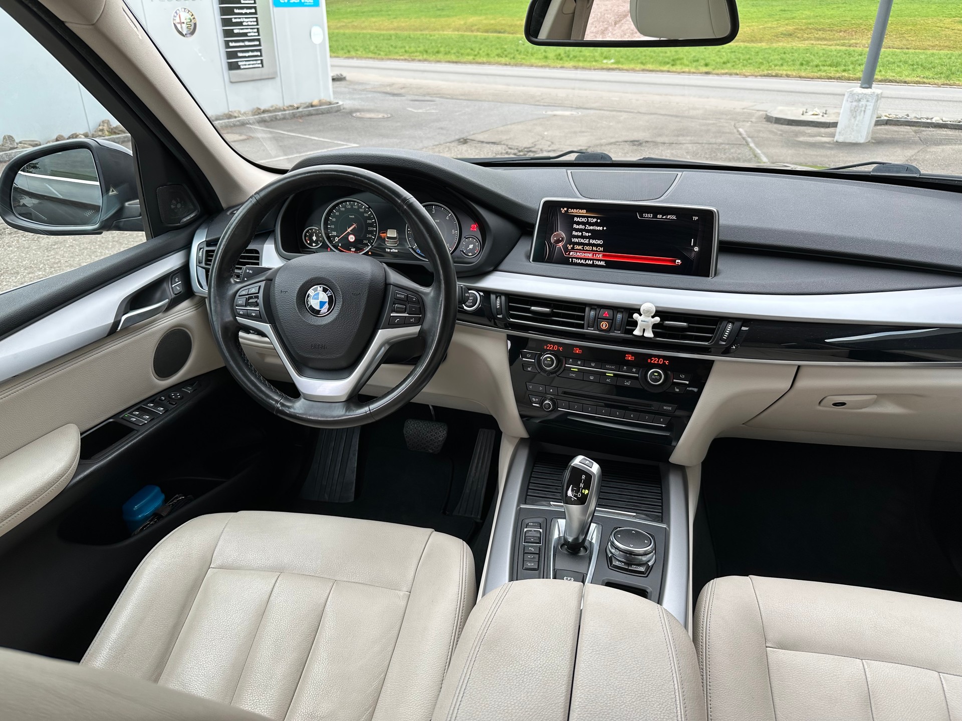 BMW X5 xDrive 25d Steptronic-image-6