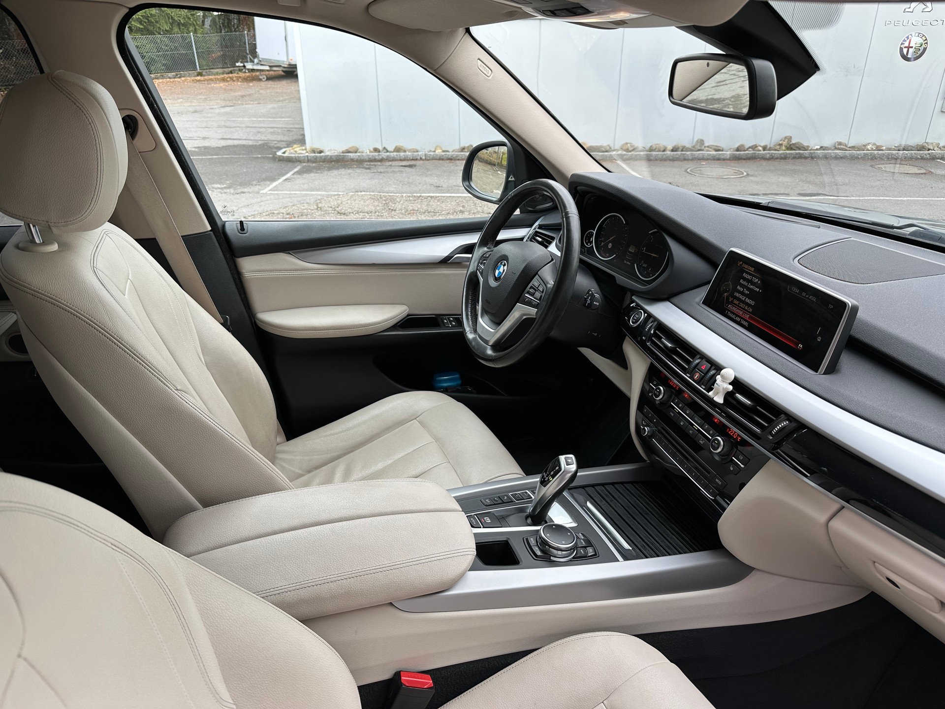 BMW X5 xDrive 25d Steptronic-image-10