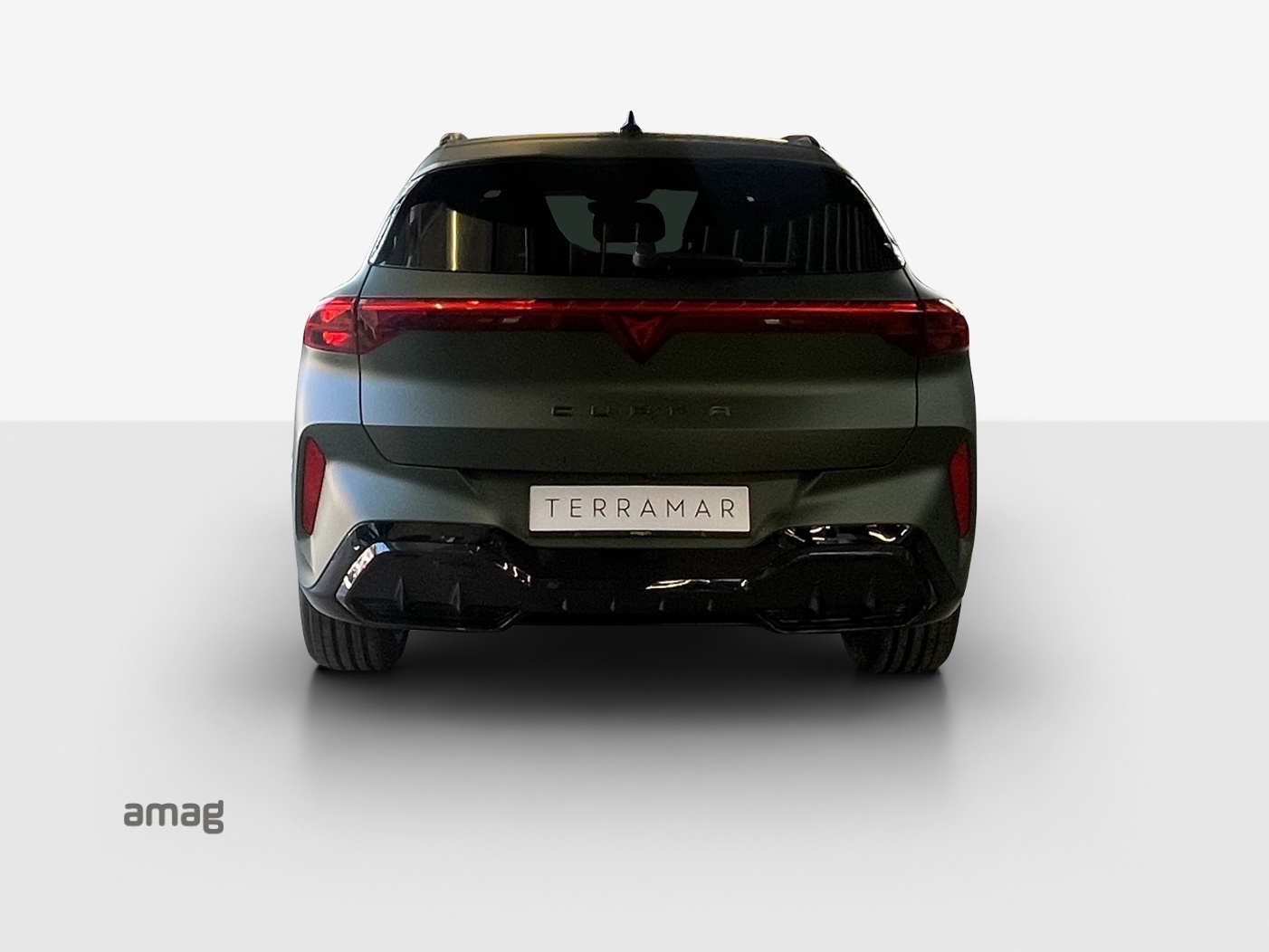 CUPRA Terramar 2.0 TSI DSG Prime Edition VZ 4Drive-image-3