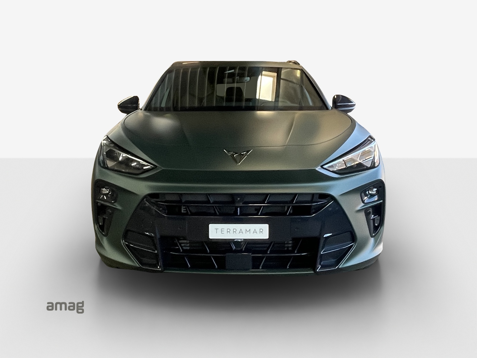 CUPRA Terramar 2.0 TSI DSG Prime Edition VZ 4Drive-image-6