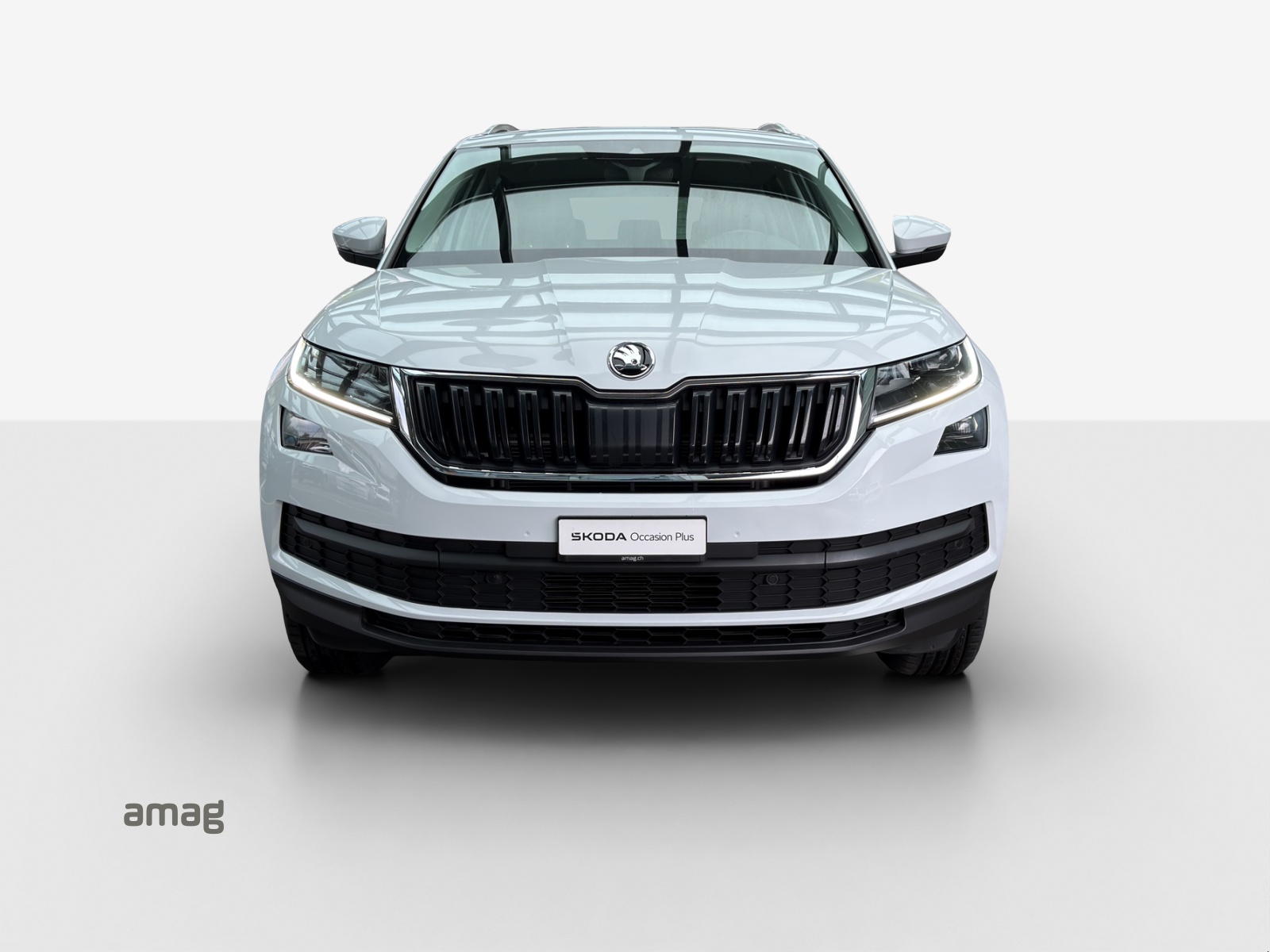 SKODA Kodiaq 2.0 TSI Ambition 4x4-image-6