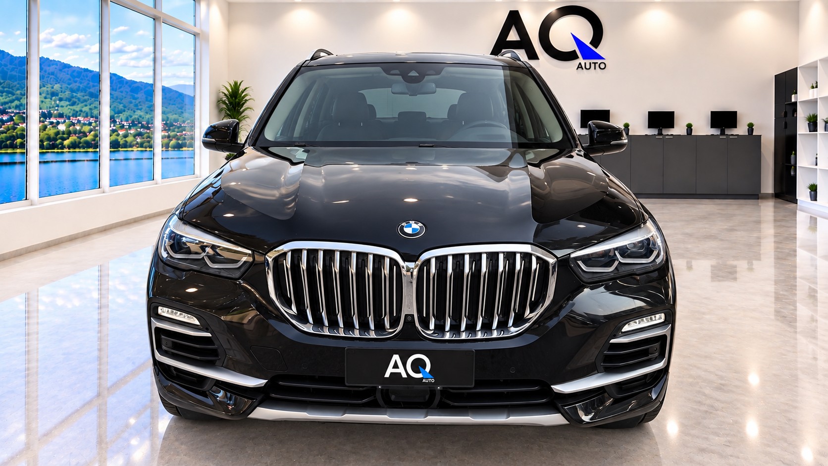 BMW X5 xDrive 30d xLine Steptronic-showroom-element-1