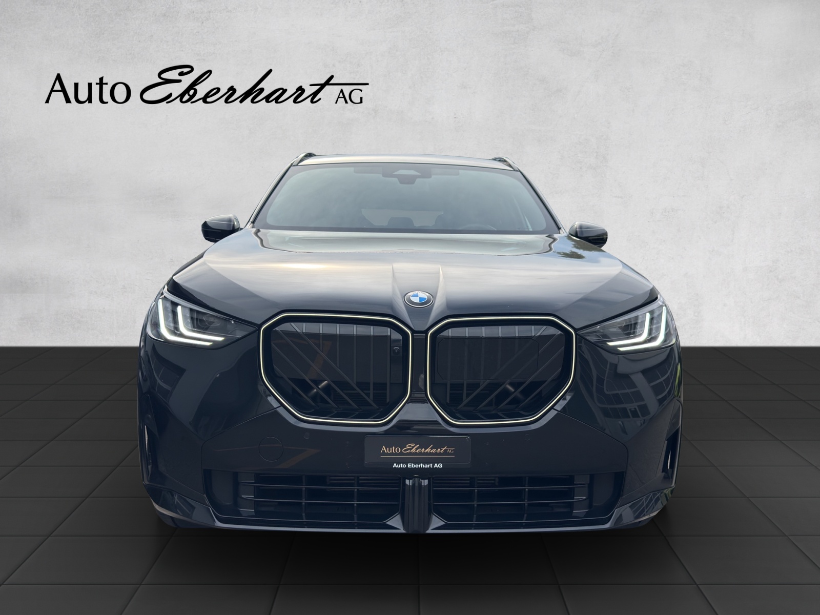 BMW X3 xDrive 48V 20d M Sport Pro-image-3