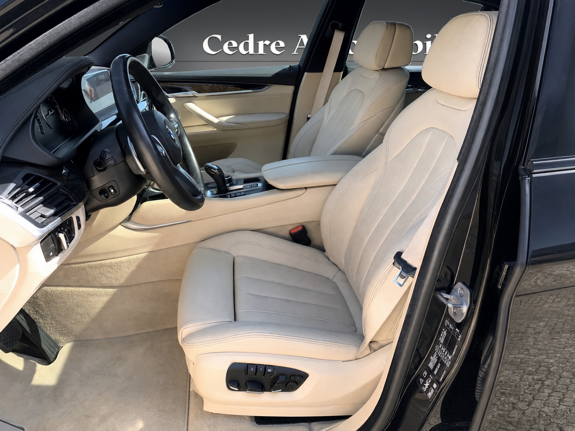 BMW X6 xDrive 40d Pure M Sport Steptronic-image-5