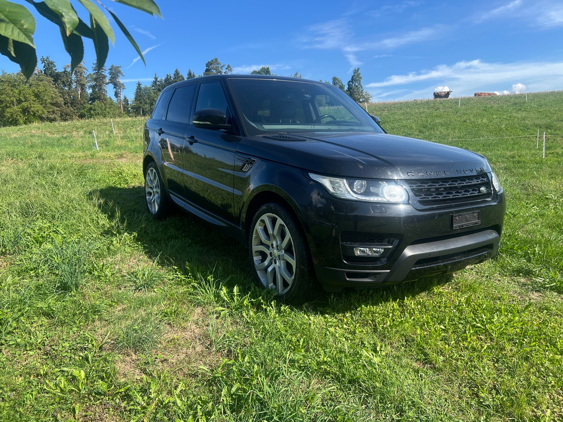 LAND ROVER Range Rover Sport 4.4 SDV8 HSE Automatic-image-2