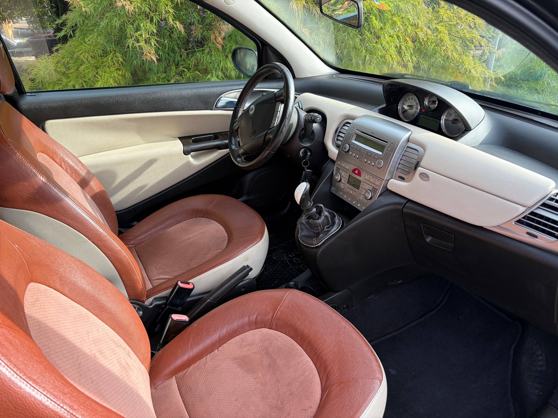 LANCIA Ypsilon 1.2 Argento-image-1