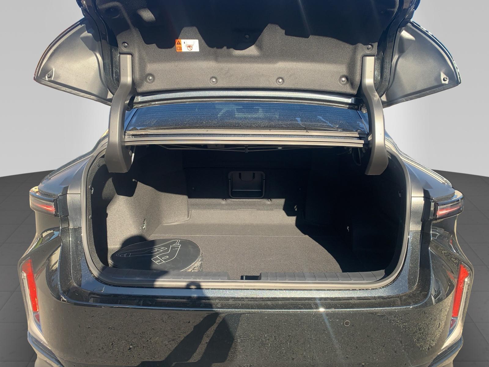 LEXUS ES 500e Comfort AWD-image-11