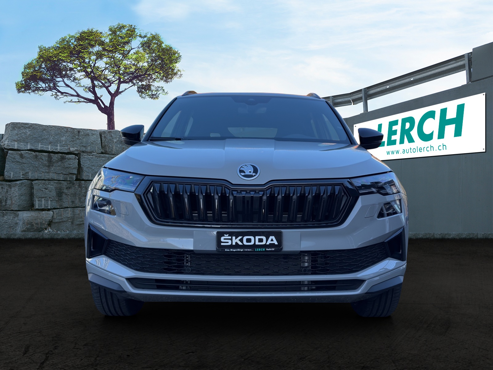 SKODA Karoq 2.0 TSI Dynamic Limited Edition 4x4 DSG-showroom-element-1