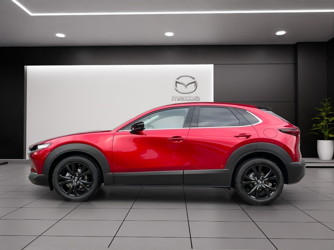 MAZDA CX-30 SKYACTIV-X 186 M Hybrid Homura AWD AT-image-2
