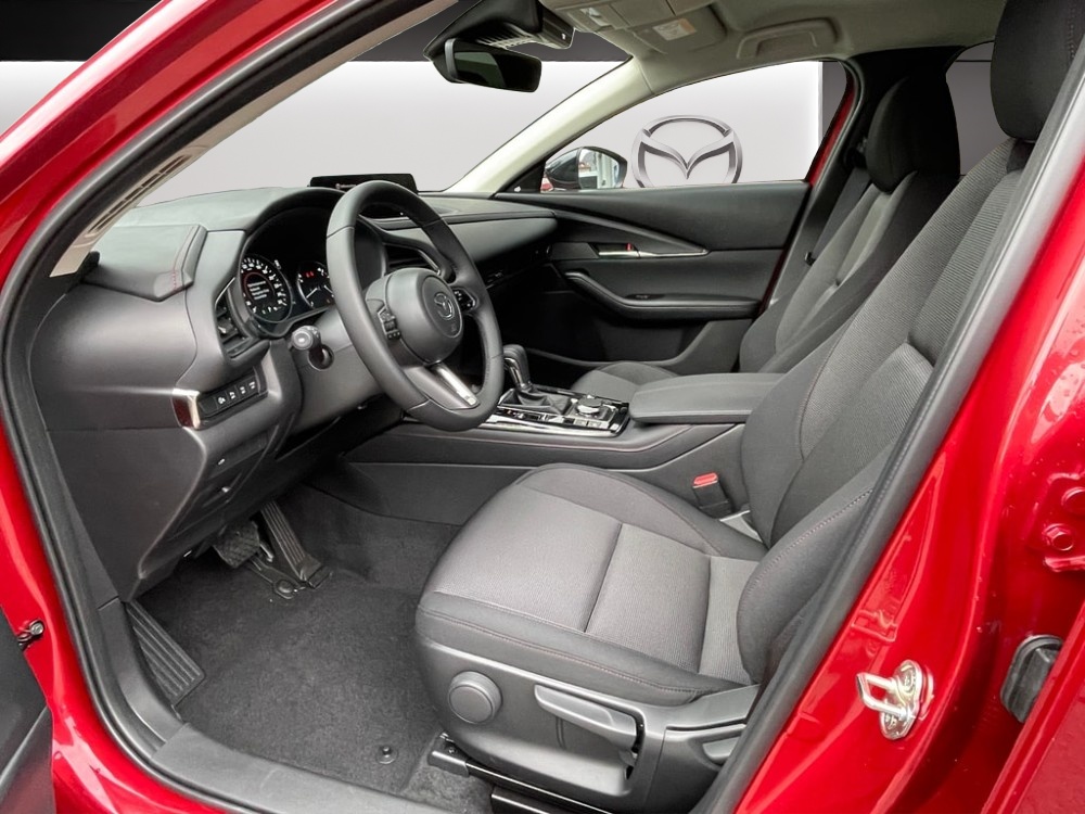 MAZDA CX-30 SKYACTIV-X 186 M Hybrid Homura AWD AT-image-4