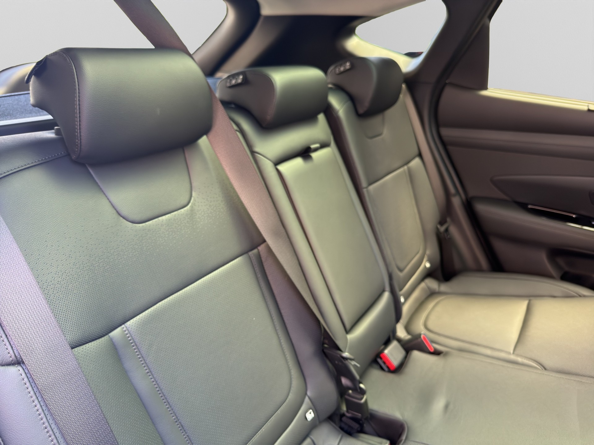 HYUNDAI Tucson 1.6 TGDI HEV Vertex Swiss Edition 4WD-image-18