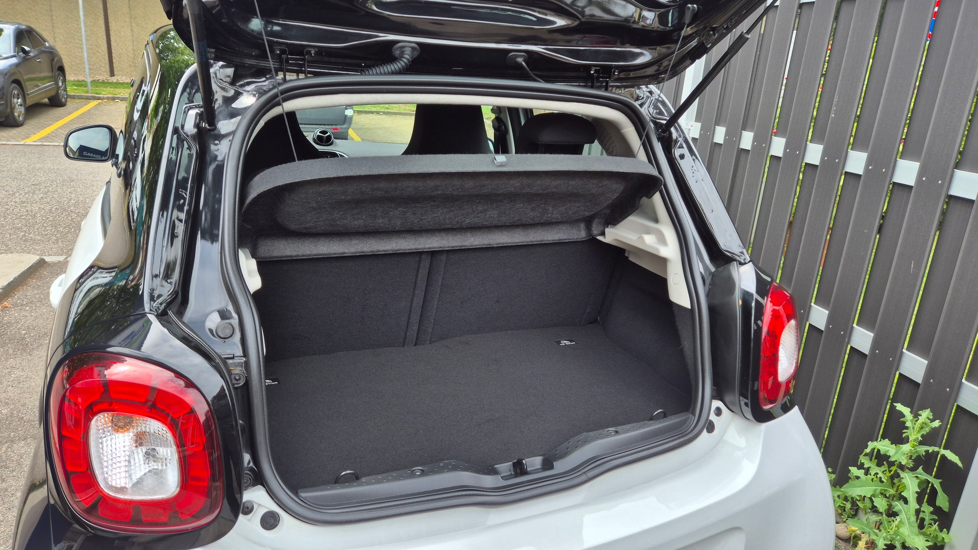 SMART forfour proxy twinmatic-image-6