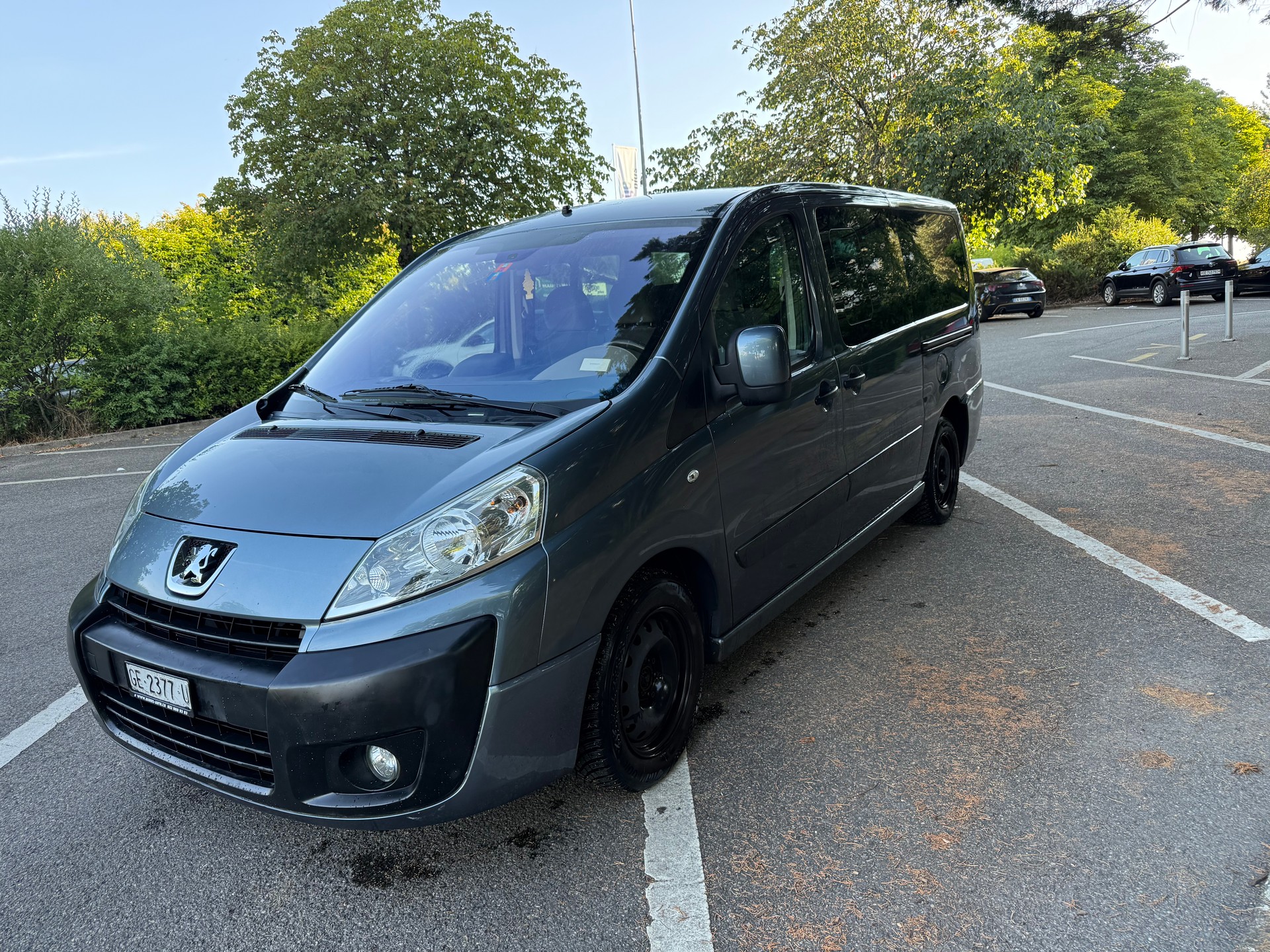 PEUGEOT Expert Tepee 2.0 HDi Confort L2-image-0