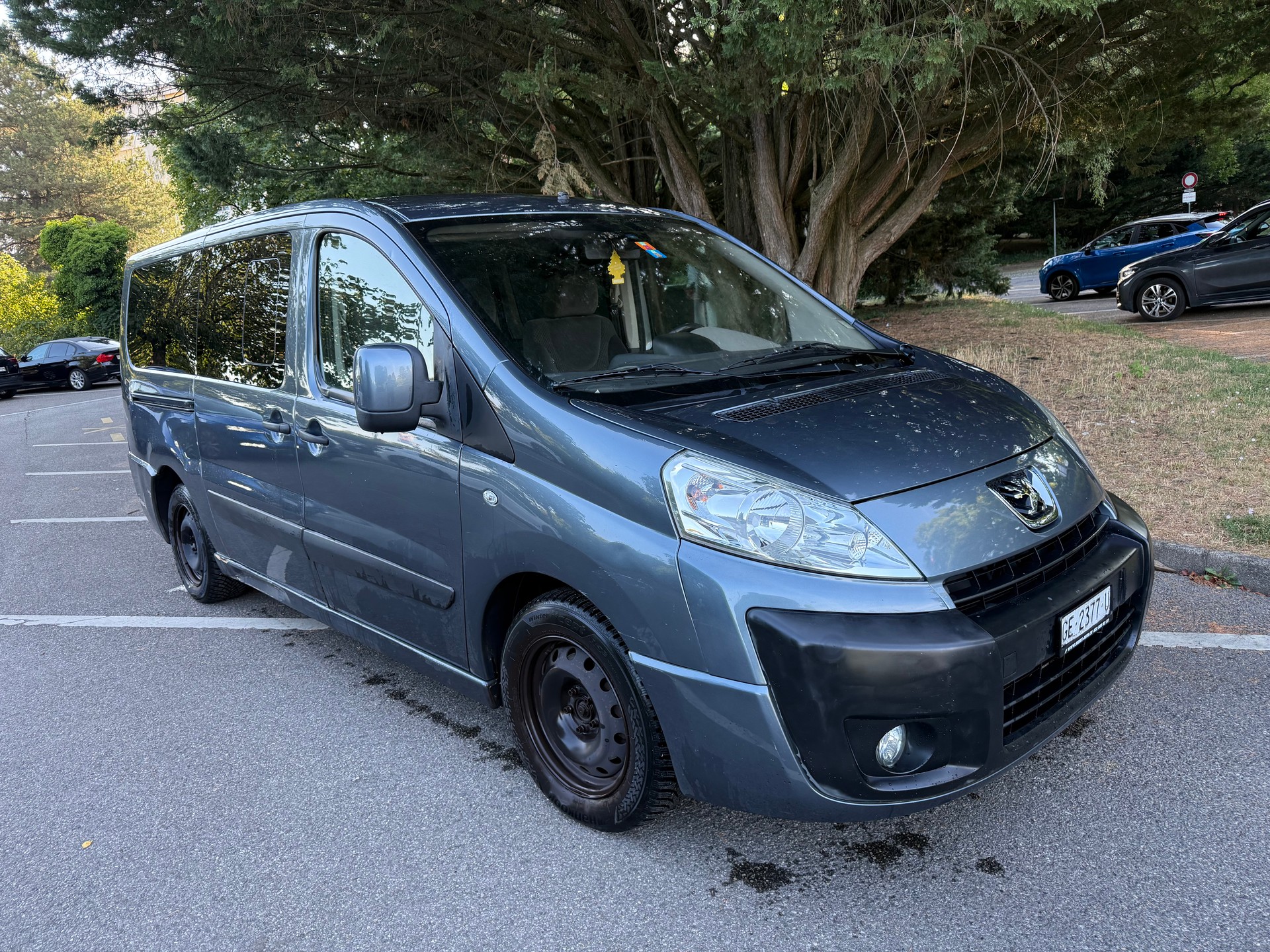 PEUGEOT Expert Tepee 2.0 HDi Confort L2-image-2